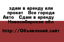 здам в аренду или прокат - Все города Авто » Сдам в аренду   . Новосибирская обл.